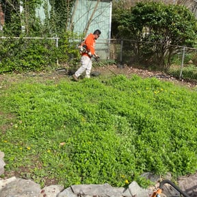 Flower Bed Weeding by Salvador Gonzalez reviewed on August 19, 2025