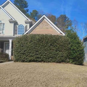 Bush Trimming by G'day mate  Acreage Plus reviewed on December 23, 2025