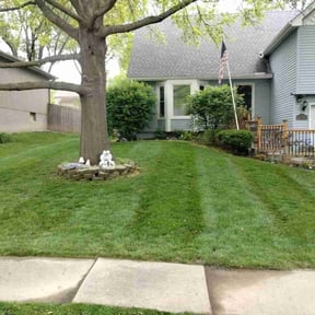 residential landscaping by Lawncare Genius reviewed on August 15, 2025