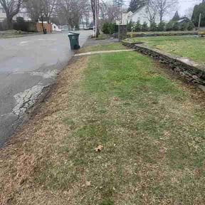 Leaf Removal by Perfect image lawn service of  Georgia reviewed on April 9, 2026