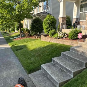 yard service by Azuloutdoorservices@gmail.com reviewed on November 21, 2025