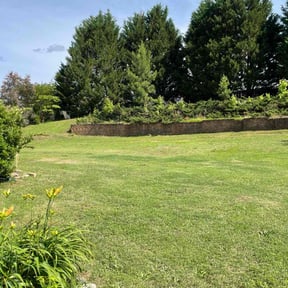yard care by C&J lawn care reviewed on August 17, 2025