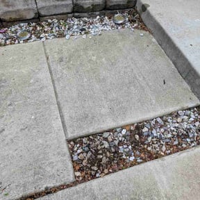 Flower Bed Weeding by Venerable Lawn Care LLC reviewed on August 17, 2026