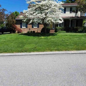 yard work by Treadstone Lawn Care reviewed on August 15, 2025