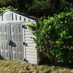 Bush Trimming by Emerald Green Property Management LLC reviewed on August 20, 2025