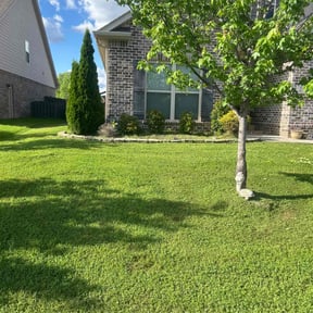 Bush Trimming by Design Cuts Landscaping LLC reviewed on August 15, 2025