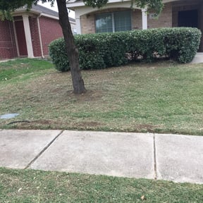Bush Trimming by A Cut Above Landscaping & Lawn LLC reviewed on August 20, 2025