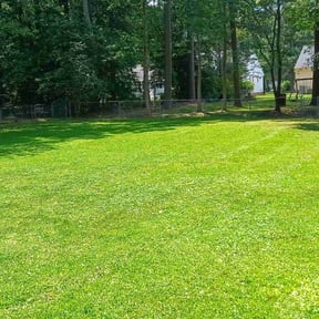 landscaping by Doublerlawncare reviewed on August 19, 2025