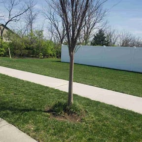 lawn care by BetterView Landscaping &amp; Home Maintenance reviewed on October 6, 2024