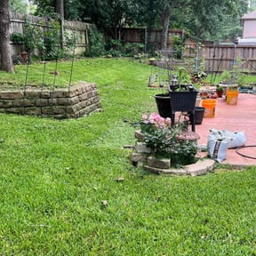 yard service by Sir Knights Lawn Care reviewed on August 16, 2025