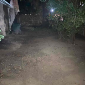 Leaf Removal by Alex &amp; Son's Landscaping Services reviewed on December 25, 2025