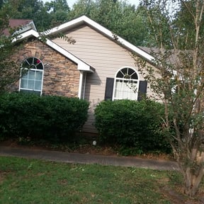 Bush Trimming by Best cuts lawncare reviewed on August 15, 2025