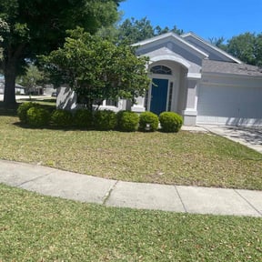 yard service by Willie lawn Care and more LLC reviewed on August 21, 2025