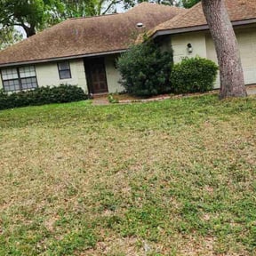 Leaf Removal by Reputable Service  reviewed on September 11, 2025