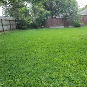 yard service by Fernando&#039;s Landscaping reviewed on October 4, 2024