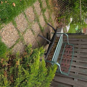 Leaf Removal by Betts Greenery reviewed on May 6, 2026