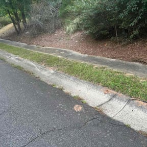 Flower Bed Weeding by JDAA  Lawn Care Service LLC reviewed on November 19, 2025