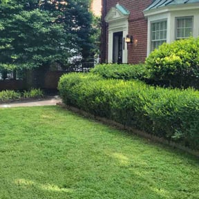 turf maintenance by Greeley Greenscapes reviewed on May 1, 2024