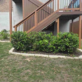 Bush Trimming by MR PINK SOLUTIONS reviewed on March 27, 2026