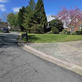 landscaping services by Loza Green & Handy reviewed on August 17, 2025