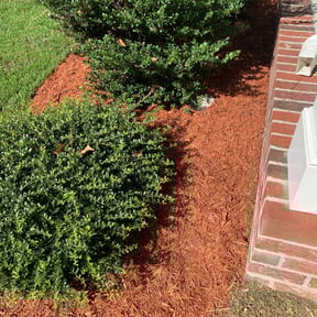 Flower Bed Weeding by Polish up reviewed on August 18, 2025