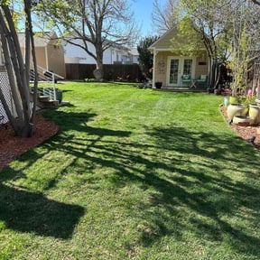 landscaping by Carr Enterprises WNY reviewed on August 18, 2025