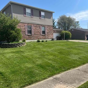 yard care by I WANNA MOW reviewed on December 15, 2025