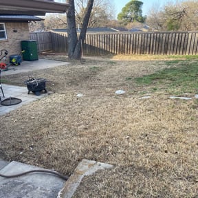 Leaf Removal by Larry&#039;s Lawns reviewed on September 10, 2025