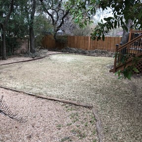 Leaf Removal by T Woods Landscaping reviewed on September 15, 2025