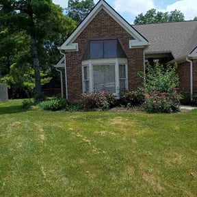 Flower Bed Weeding by Weston Ward reviewed on July 9, 2026