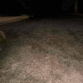 Leaf Removal by L &amp; J Landscaping  reviewed on December 18, 2025