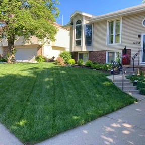 landscape maintenance by Tim's Discount Lawn reviewed on August 20, 2025