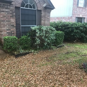 Bush Trimming by Bella Vista Landscape Services reviewed on August 19, 2025