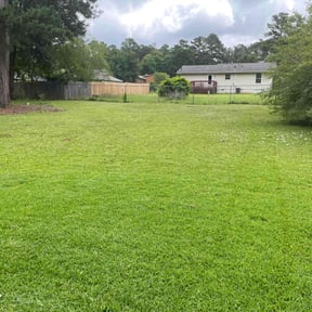 lawn service by lawnboss reviewed on August 18, 2025