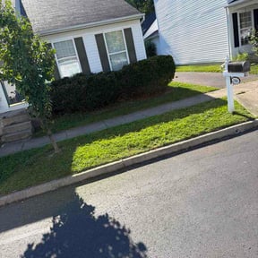 Bush Trimming by Apex Landscape And Demolition LLC reviewed on June 30, 2026