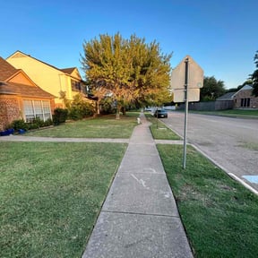 yard service by El Coqui Lawn Care reviewed on August 15, 2025