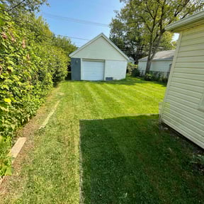 gardening service by Cohen Lawn & Landscaping reviewed on August 16, 2025