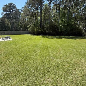 grass maintenance by Tip top lawns reviewed on August 17, 2025