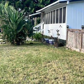 Flower Bed Weeding by Dee&#039;s Touch lawn care reviewed on November 9, 2025