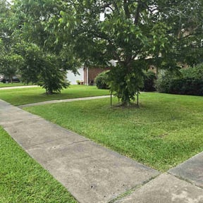 residential landscaping by Best Green Area reviewed on August 20, 2025