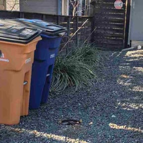 Leaf Removal by Coyote Lawn &amp; Landscaping reviewed on September 3, 2026