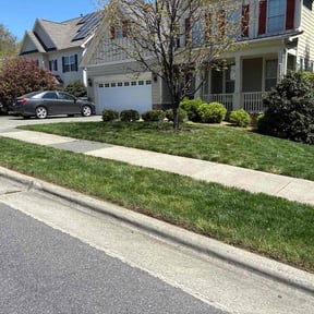 grass cutting by Fastway Lawn Care reviewed on June 9, 2025