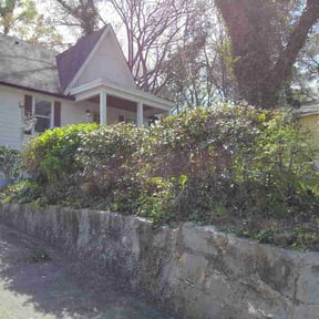 Bush Trimming by D.P.S (Dave Property Services) reviewed on March 24, 2026