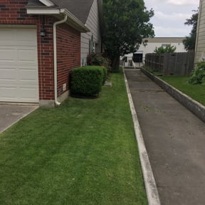 Bush Trimming by Local Green Lawn Care LLC reviewed on May 16, 2024