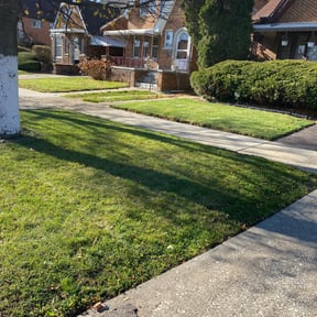 Leaf Removal by The Gatsons Way Lawn Care reviewed on September 21, 2025
