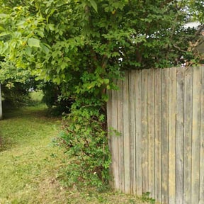 Bush Trimming by ZKZ Landscape &amp; Design reviewed on July 15, 2023