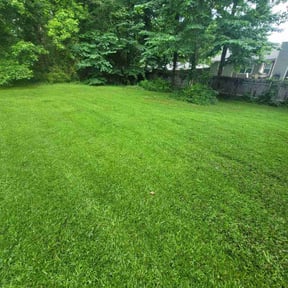 landscape maintenance by Helping Hands reviewed on August 15, 2025