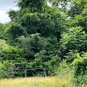 Bush Trimming by Joe&#039;s Home Services reviewed on November 23, 2025