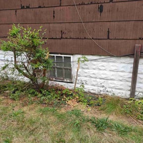 Bush Trimming by Brantnew4U Property Management LLC reviewed on November 10, 2025