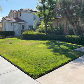 yard service by Hugo Lopez Landscaping reviewed on August 18, 2025